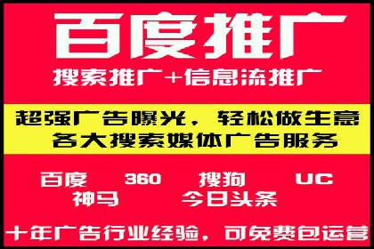 百度SEO推广策略深度解读：某企业网络营销的胜利之路
